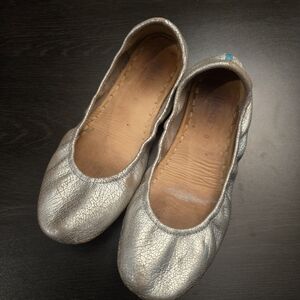 Tieks by Gavrieli ballet flats in the "Silver Screen" colorway